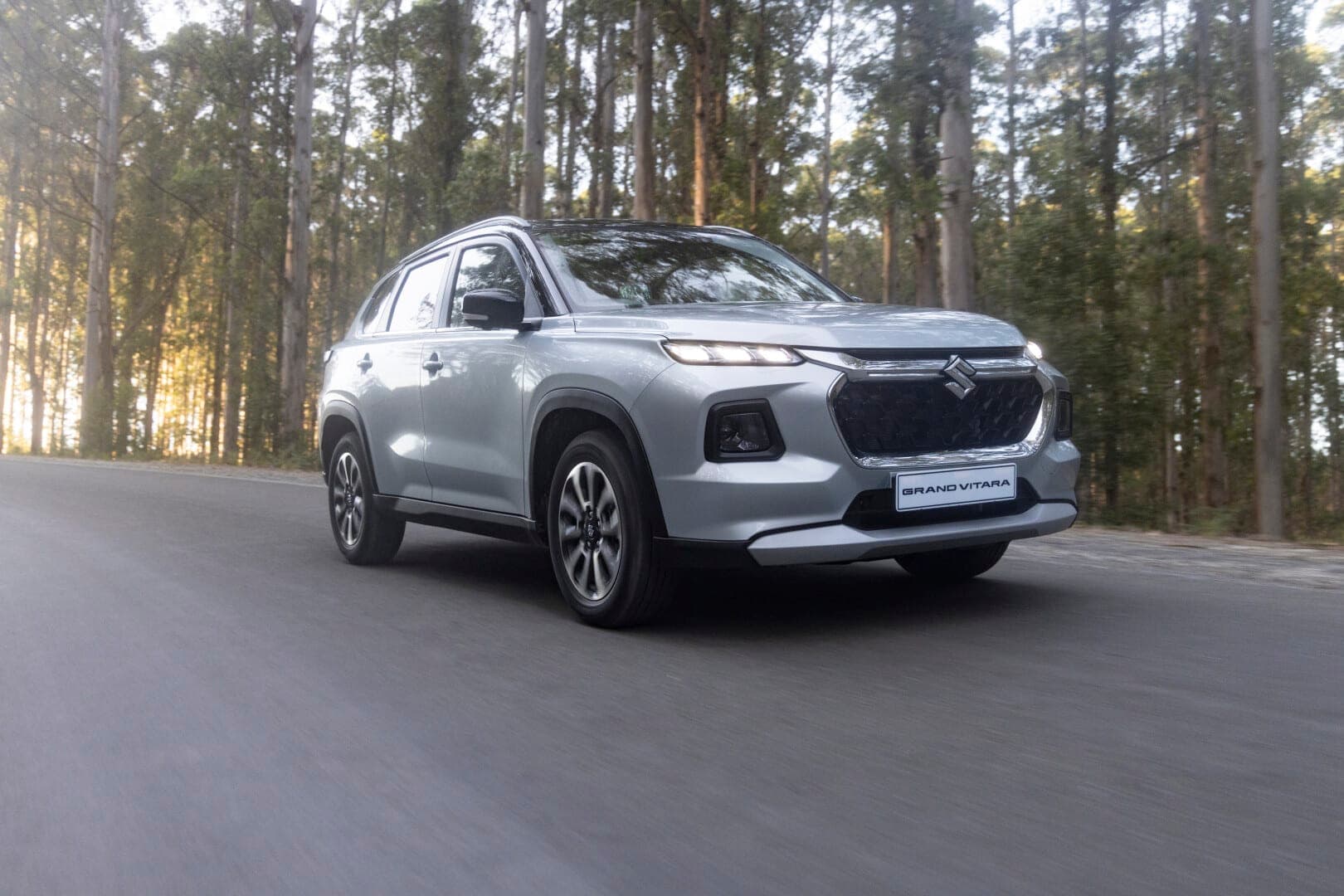 Pack the Kids, Pack the Dog, Pack the FUN with Suzuki Family Cars!